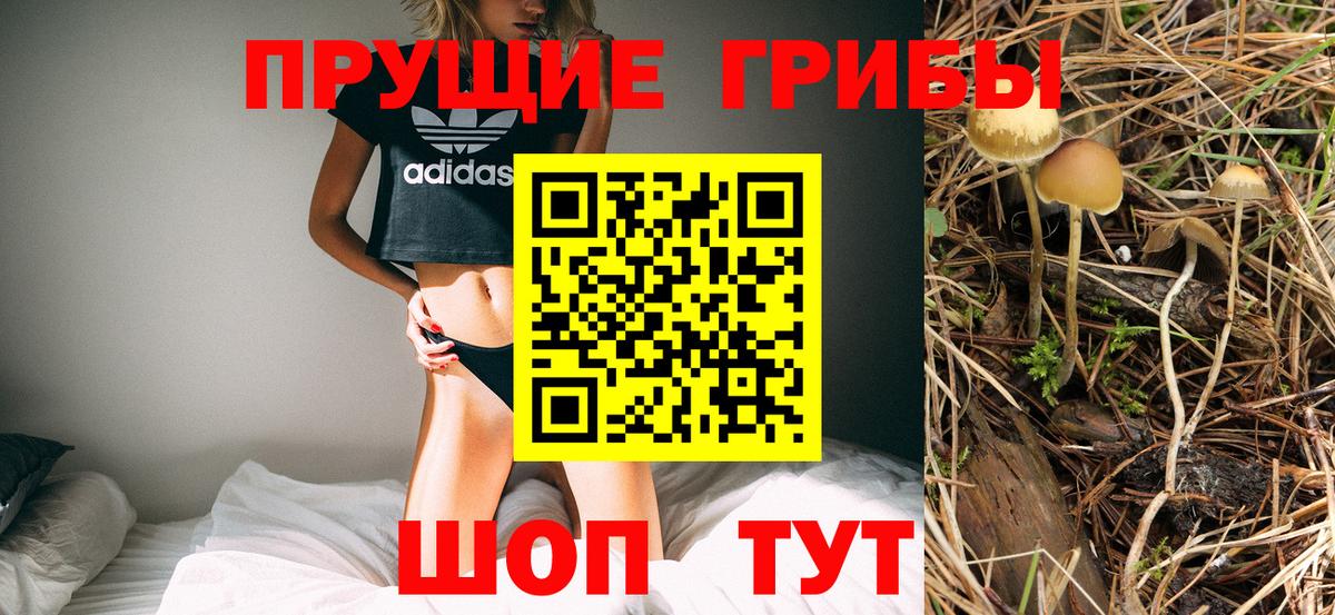 Галлюциногенные грибы Psilocybine cubensis  Галлюциногенные грибы прущие грибы  закладки  Ахтубинск  Вход с VPN 